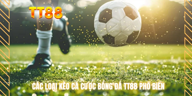 Các loại kèo cá cược bóng đá TT88 phổ biến