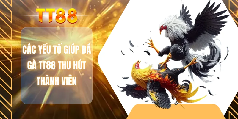 Các yếu tố giúp đá gà TT88 thu hút thành viên