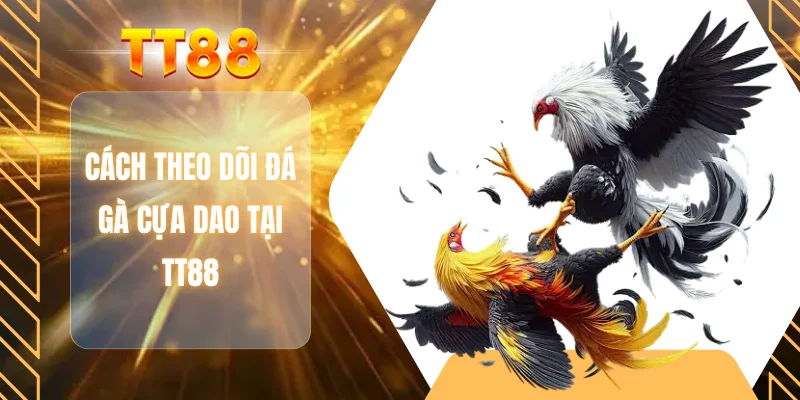 Cách theo dõi đá gà cựa dao tại TT88