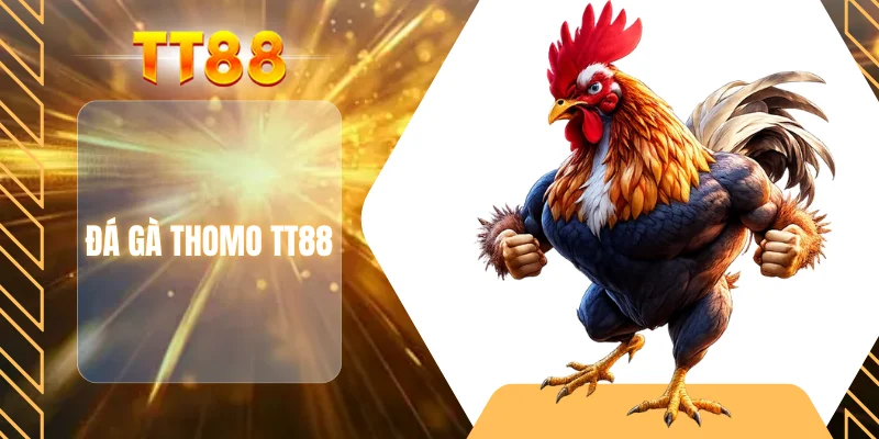 Đá gà Thomo TT88