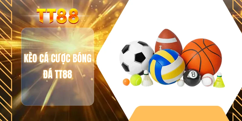 Kèo cá cược bóng đá TT88