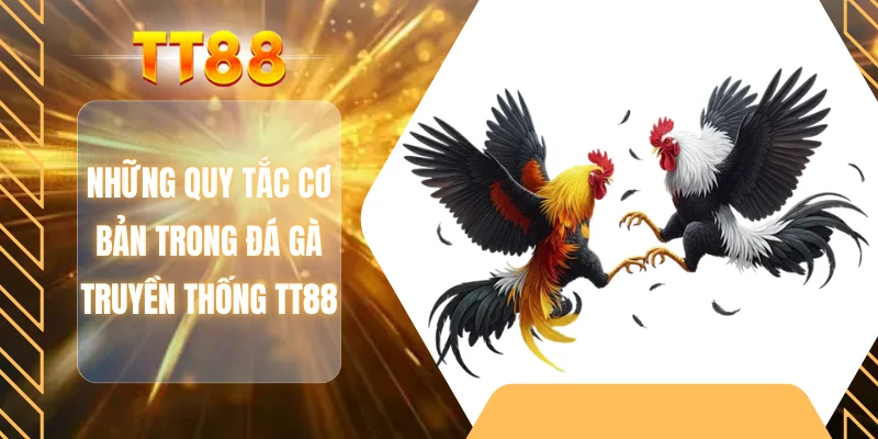 Những quy tắc cơ bản trong đá gà truyền thống TT88