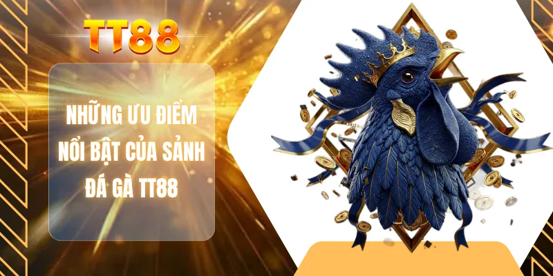 Những ưu điểm nổi bật của sảnh đá gà TT88