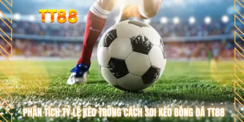 Phân tích tỷ lệ kèo trong cách soi kèo bóng đá TT88