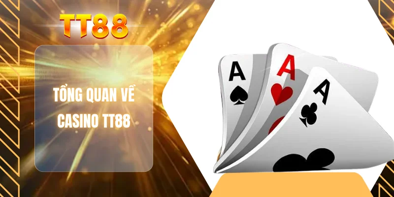 Tổng quan về casino TT88