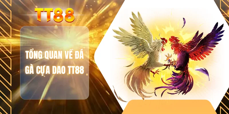 Tổng quan về đá gà cựa dao TT88