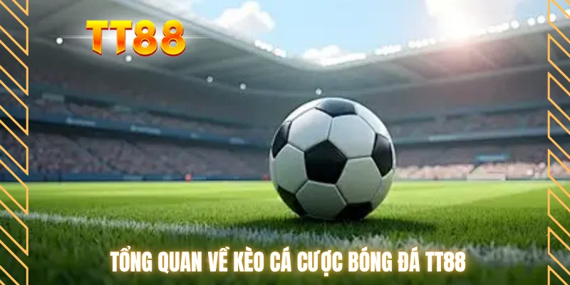 Tổng quan về kèo cá cược bóng đá TT88