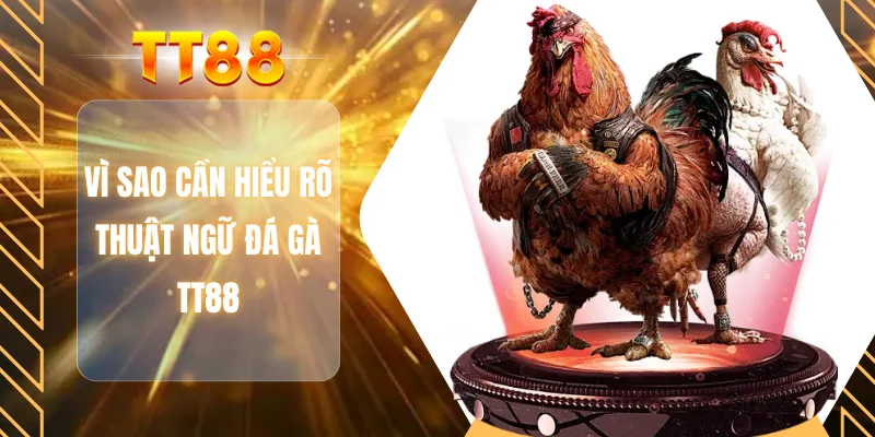 Vì sao cần hiểu rõ thuật ngữ đá gà TT88